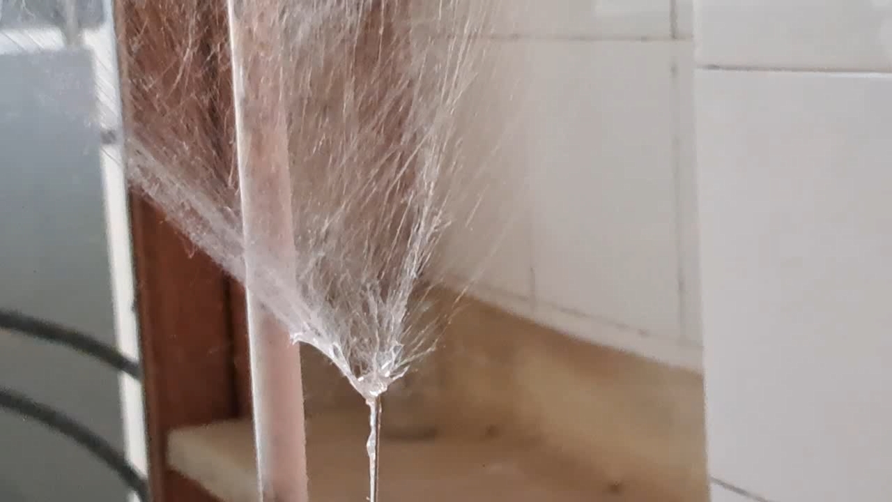 Electrospinning: Solution of Polystyrene in Methylene Chloride